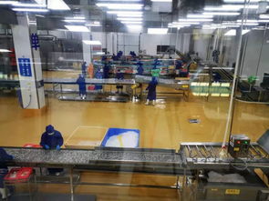 多圖首發(fā)！解密水產智能化工廠與文化館，探索未來水產新生態(tài)